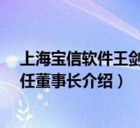 上海宝信软件王剑虎(王力-上海宝信软件股份有限公司前任董事长介绍)