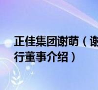 正佳集团谢萌(谢萌-正佳企业集团有限公司副董事长兼执行董事介绍)