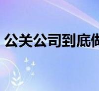 阅读全文关于项目公关是做什么的,公关是做什么的这个很多人还不知道