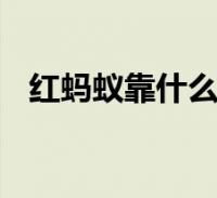 和二甲双胍区别这个很多人还不知道,今天小六来为大家解答以上的问题