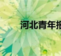 河北青年报最新疫情(河北青年报)