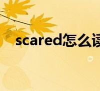 scared怎么读英语发音(scared怎么读)