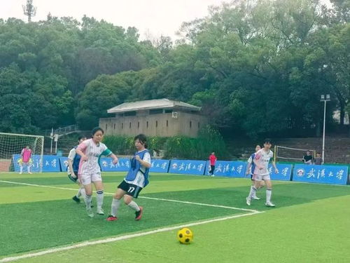 劳塔罗续约