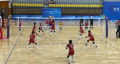阔别赛场五个月！Shams：波尔津吉斯将在对阵快船比赛中复出首秀