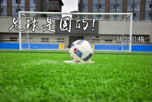 湖人主场不敌火箭 总分被扳至3-2