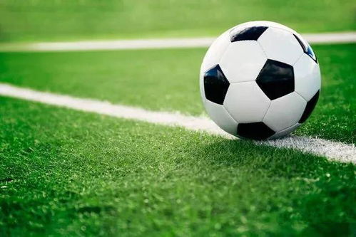 U23棒球世界杯：中国队首次实现世界级赛事小组出线