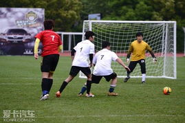山东日照钢铁女排3-0击败江苏女排 排名升至第四位