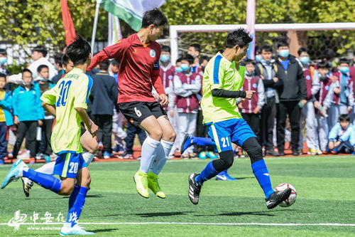 U20世界杯：乌拉圭1-0战胜意大利夺冠