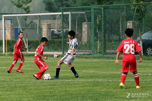 欧洲杯：遭遇逆转 斯洛伐克1-2乌克兰