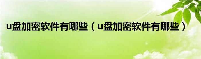 u盘加密软件有哪些（u盘加密软件有哪些）