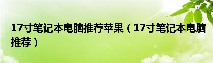 17寸笔记本电脑推荐苹果（17寸笔记本电脑推荐）