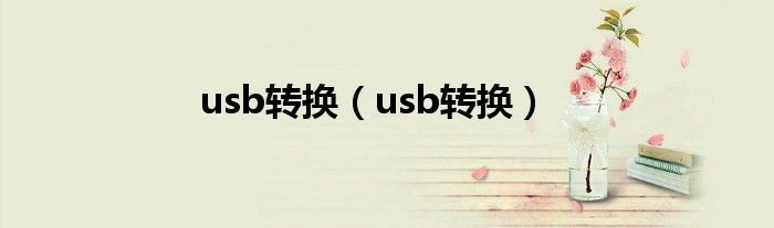 usb转换（usb转换）