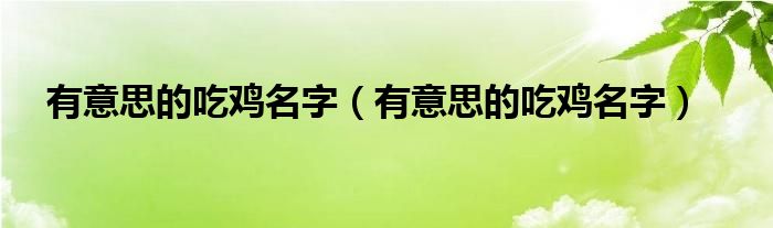 有意思的吃鸡名字（有意思的吃鸡名字）