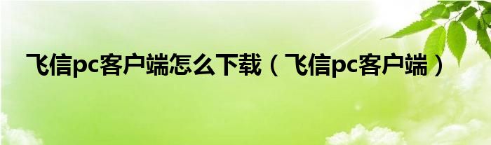 飞信pc客户端怎么下载（飞信pc客户端）