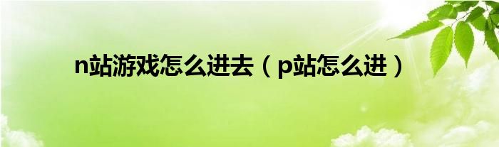 n站游戏怎么进去（p站怎么进）