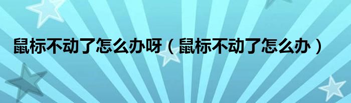 鼠标不动了怎么办呀（鼠标不动了怎么办）