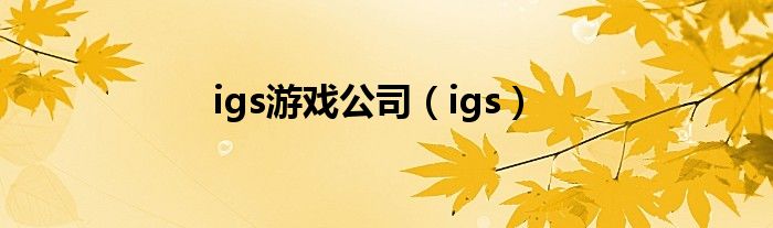 igs游戏公司（igs）