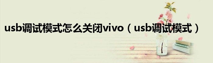 usb调试模式怎么关闭vivo（usb调试模式）