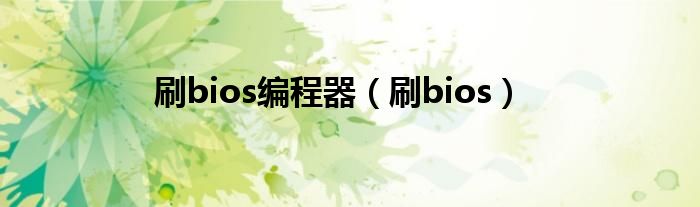 刷bios编程器（刷bios）