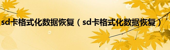 sd卡格式化数据恢复（sd卡格式化数据恢复）