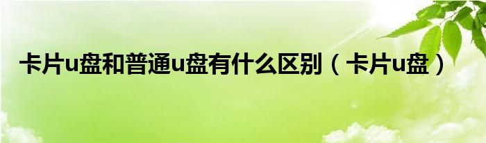 卡片u盘和普通u盘有什么区别（卡片u盘）