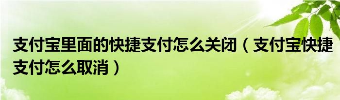 支付宝里面的快捷支付怎么关闭（支付宝快捷支付怎么取消）