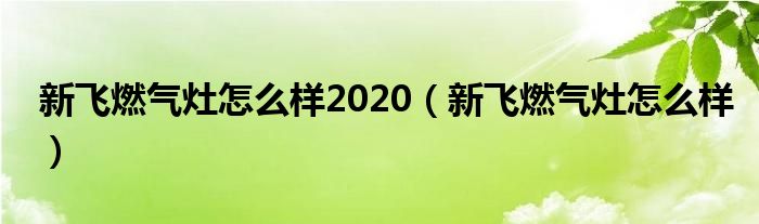 新飞燃气灶怎么样2020（新飞燃气灶怎么样）