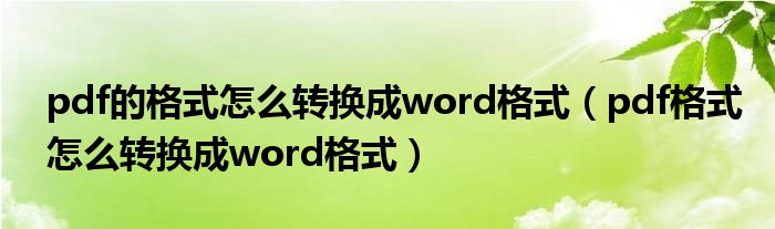 pdf的格式怎么转换成word格式（pdf格式怎么转换成word格式）