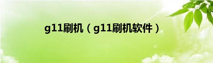 g11刷机（g11刷机软件）