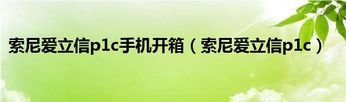 索尼爱立信p1c手机开箱（索尼爱立信p1c）