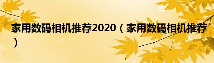 家用数码相机推荐2020（家用数码相机推荐）