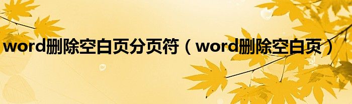 word删除空白页分页符（word删除空白页）