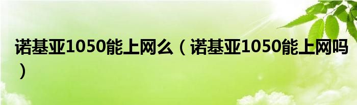 诺基亚1050能上网么（诺基亚1050能上网吗）