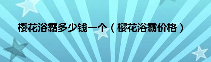 樱花浴霸多少钱一个（樱花浴霸价格）