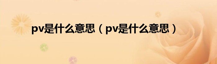 pv是什么意思（pv是什么意思）