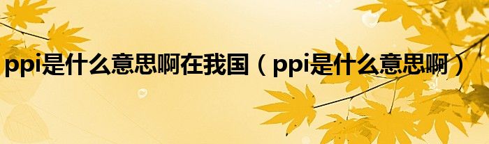 ppi是什么意思啊在我国（ppi是什么意思啊）