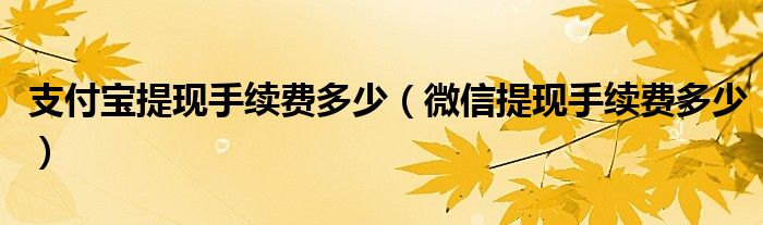 支付宝提现手续费多少（微信提现手续费多少）