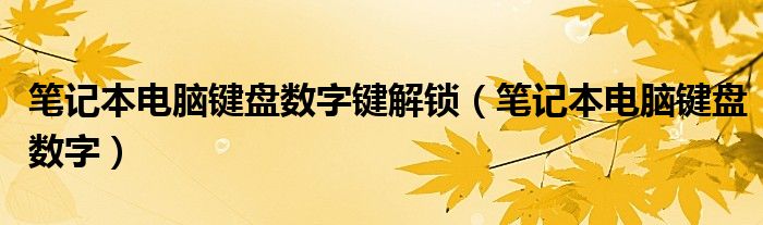 笔记本电脑键盘数字键解锁（笔记本电脑键盘数字）