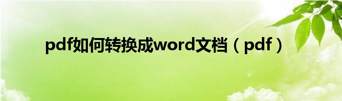 pdf如何转换成word文档（pdf）