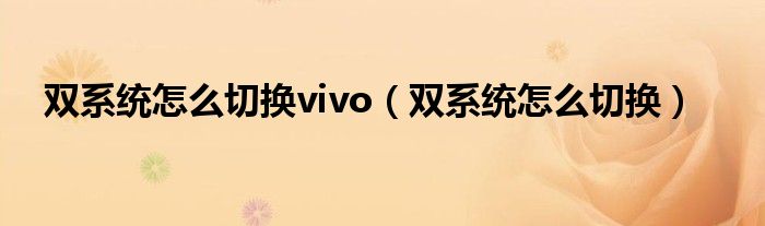 双系统怎么切换vivo（双系统怎么切换）