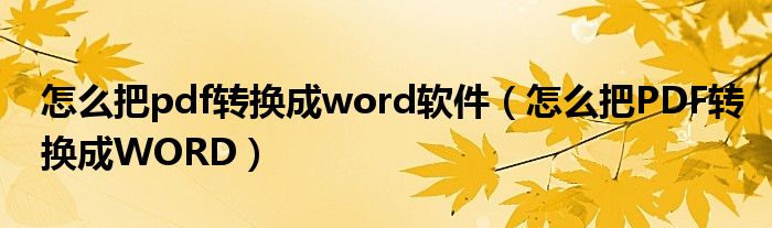 怎么把pdf转换成word软件（怎么把PDF转换成WORD）