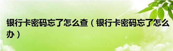 银行卡密码忘了怎么查（银行卡密码忘了怎么办）