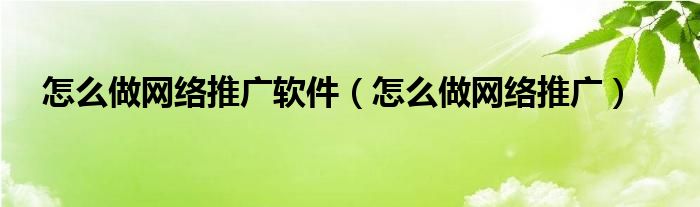 怎么做网络推广软件（怎么做网络推广）