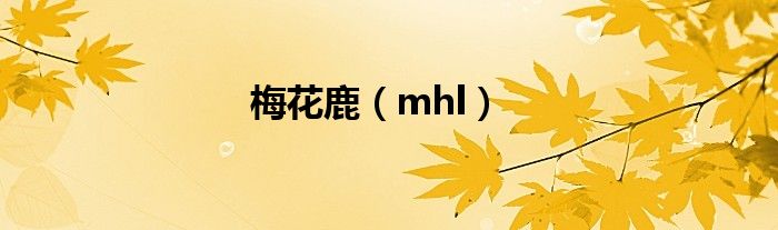 梅花鹿（mhl）