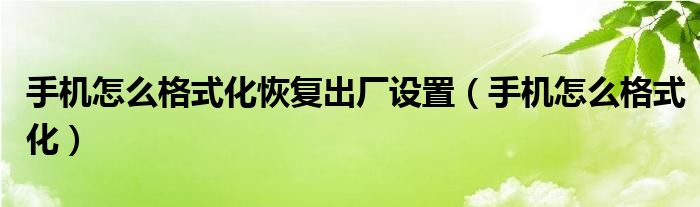 手机怎么格式化恢复出厂设置（手机怎么格式化）