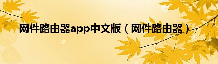 网件路由器app中文版（网件路由器）