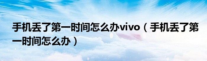 手机丢了第一时间怎么办vivo（手机丢了第一时间怎么办）