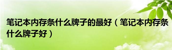 笔记本内存条什么牌子的最好（笔记本内存条什么牌子好）