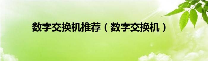 数字交换机推荐（数字交换机）