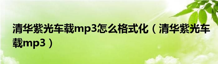 清华紫光车载mp3怎么格式化（清华紫光车载mp3）